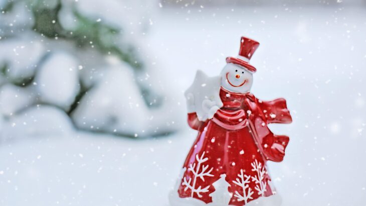 冬の肌悩みランキング